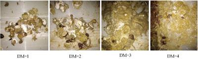 The Genetic Architecture of the Chickens Dropping Moisture by Genetic Parameter Estimation and Genome-Wide Association